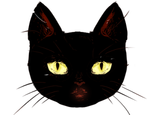head of a cat with black fur