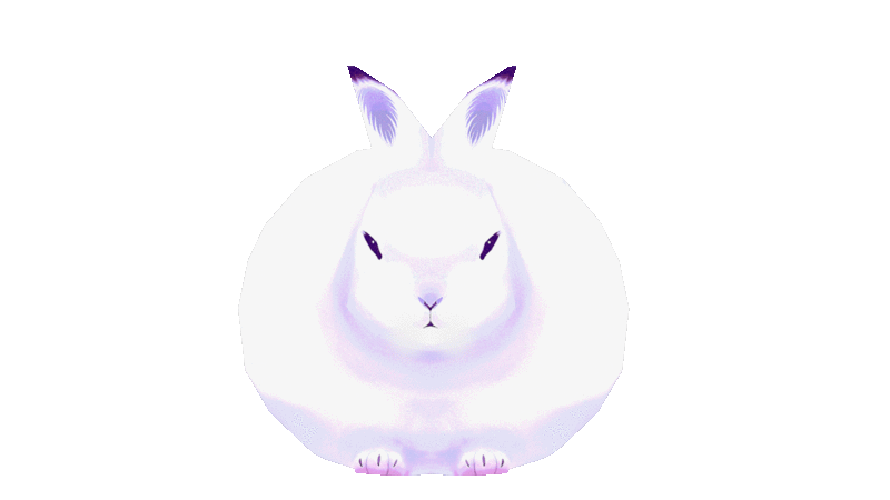 a white bunny with black tips of its ears, spinning around where it sits.
