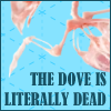 A bird sceleton on a turquoise background, text reading 'the dove is literally dead'.